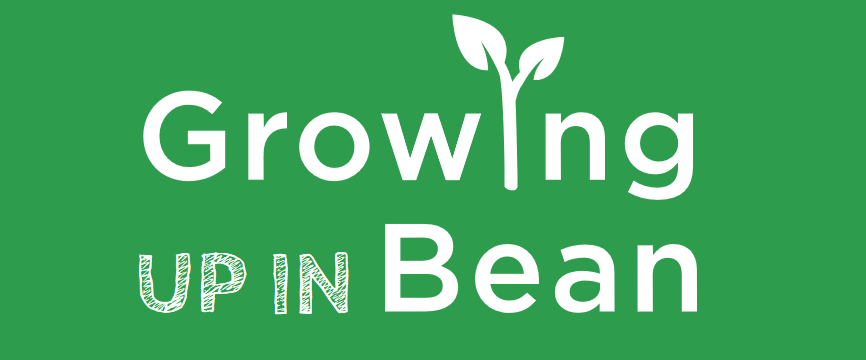 New resource for families of babies and toddlers in Bean Main Image