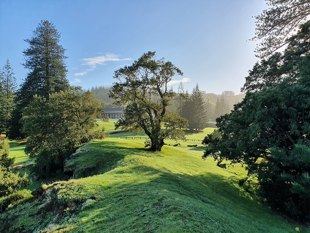MEDIA RELEASE: MAINLAND LOCKDOWNS DAMAGE NORFOLK ISLAND TOURISM AND HOSPITALITY INDUSTRIES Main Image